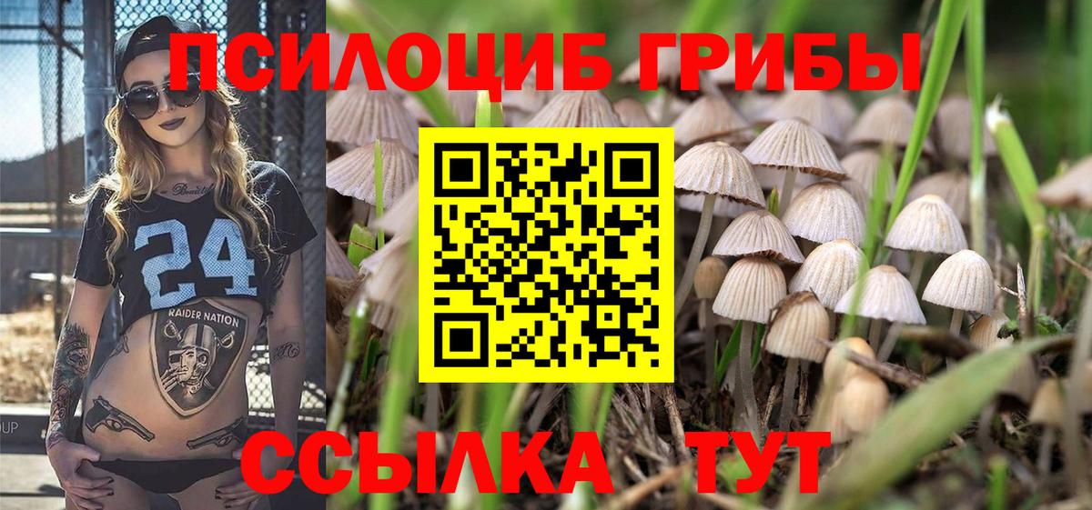 Галлюциногенные грибы мухоморы  Вход с VPN  Дзержинский  Псилоцибиновые грибы мухоморы 