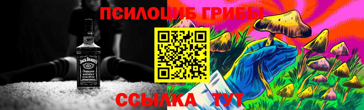 Галлюциногенные грибы Psilocybine cubensis Дзержинский